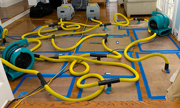 Professional Water Damage Repair technician working in Covington, TX